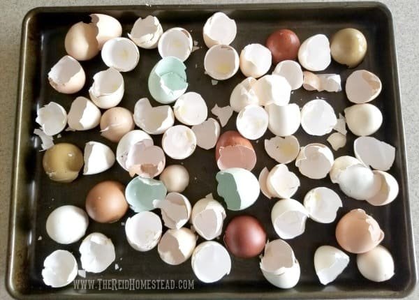 How To Dry Egg Shells In The Oven