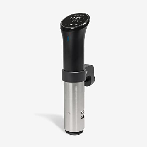 Best Sous Vide Machine