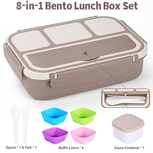 Best Lunch Containers For Adults