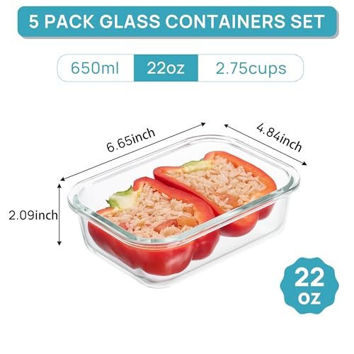 Best Glass Lunch Containers