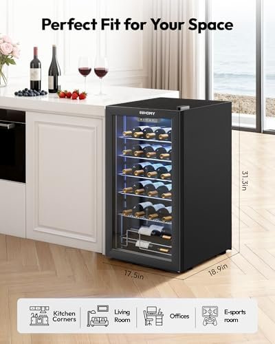 Best Wine Fridge Small