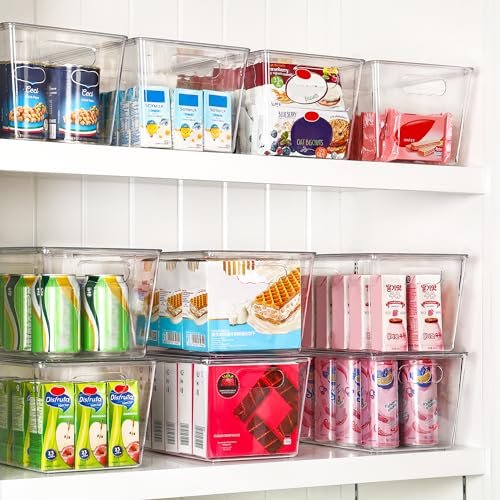 Best Pantry Storage Bins