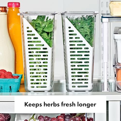 Best Herb Keeper Container