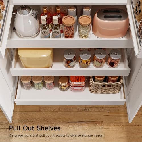 Best Pull Out Pantry Shelves