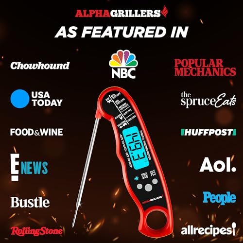 Best Digital Meat Thermometer